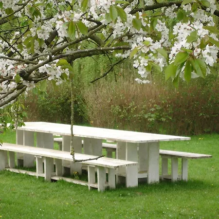 Cornucopia Ingen