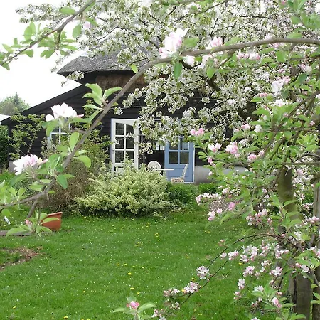 Cornucopia Holiday home