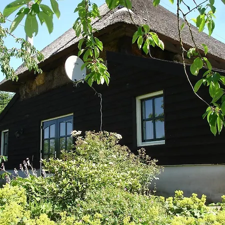 Cornucopia Ingen
