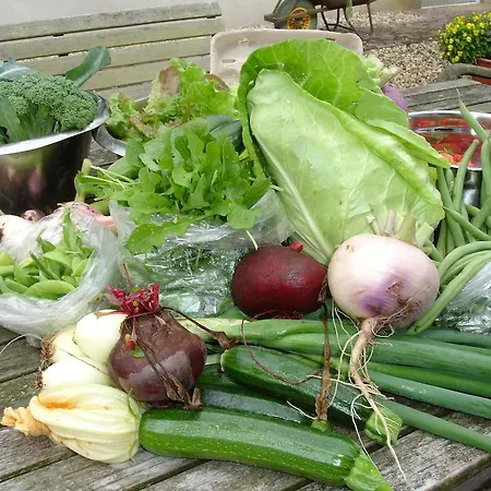 Holiday home Cornucopia