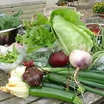 Vakantiehuis Cornucopia