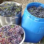 Vakantiehuis Cornucopia Ingen