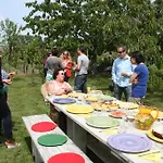Vakantiehuis Cornucopia Ingen